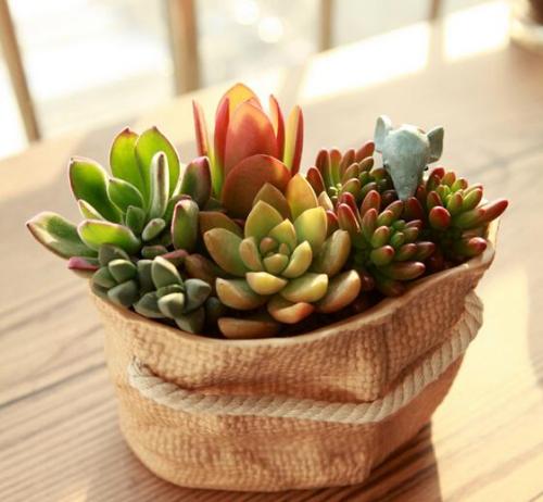 ֯ȫۼ¹ȷﲡ79673754