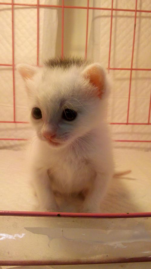 ޵ǵ1 ڹ˹Ǻ˵վݹر